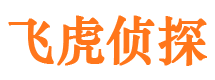 大新婚外情调查取证